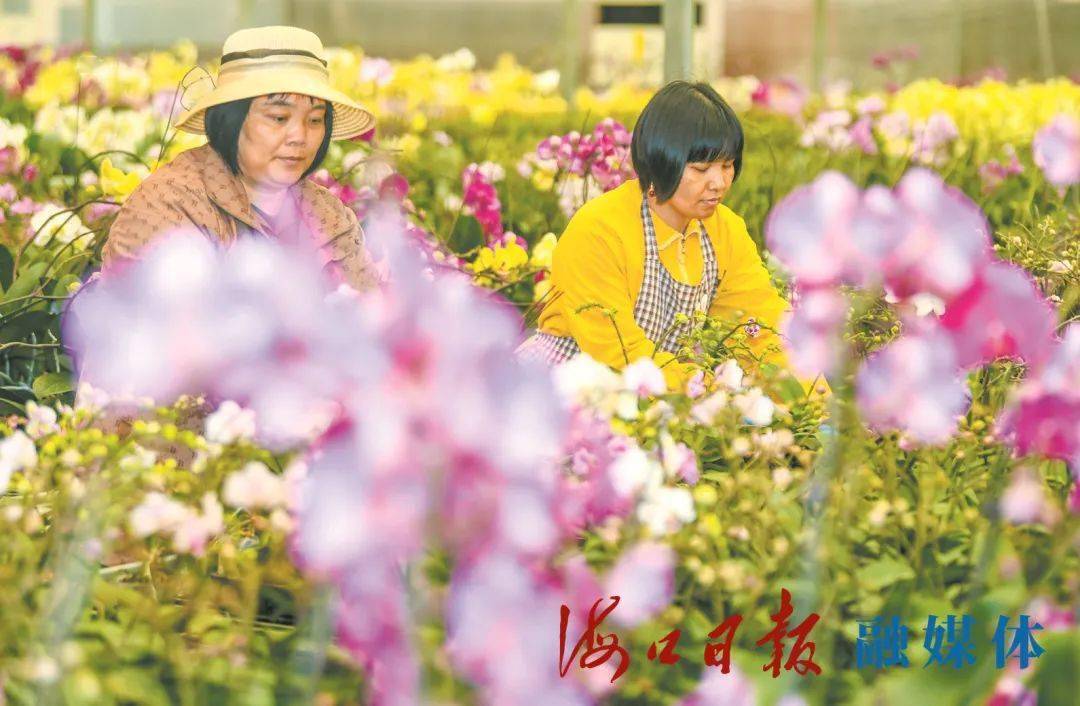 掘金“美丽经济” 沪市美妆上市公司聚焦技术研发和产品创新
