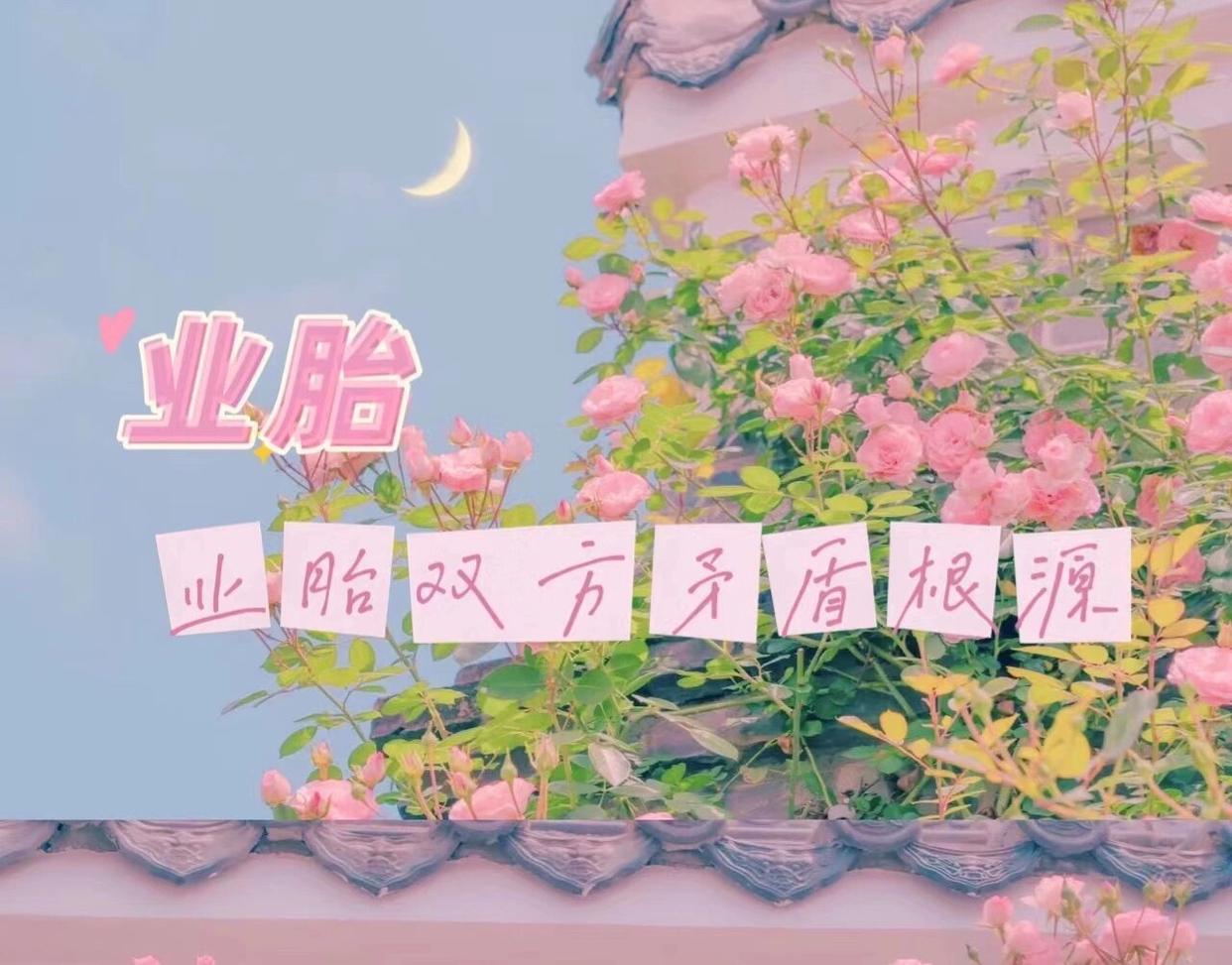 罗志恒:化债远未结束,财政是中国经济矛盾的总根源