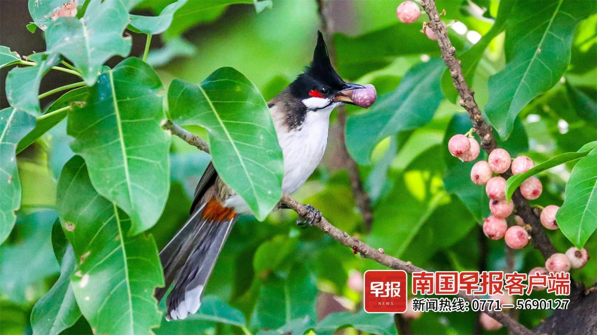 立方风控鸟·早报(12月27日)