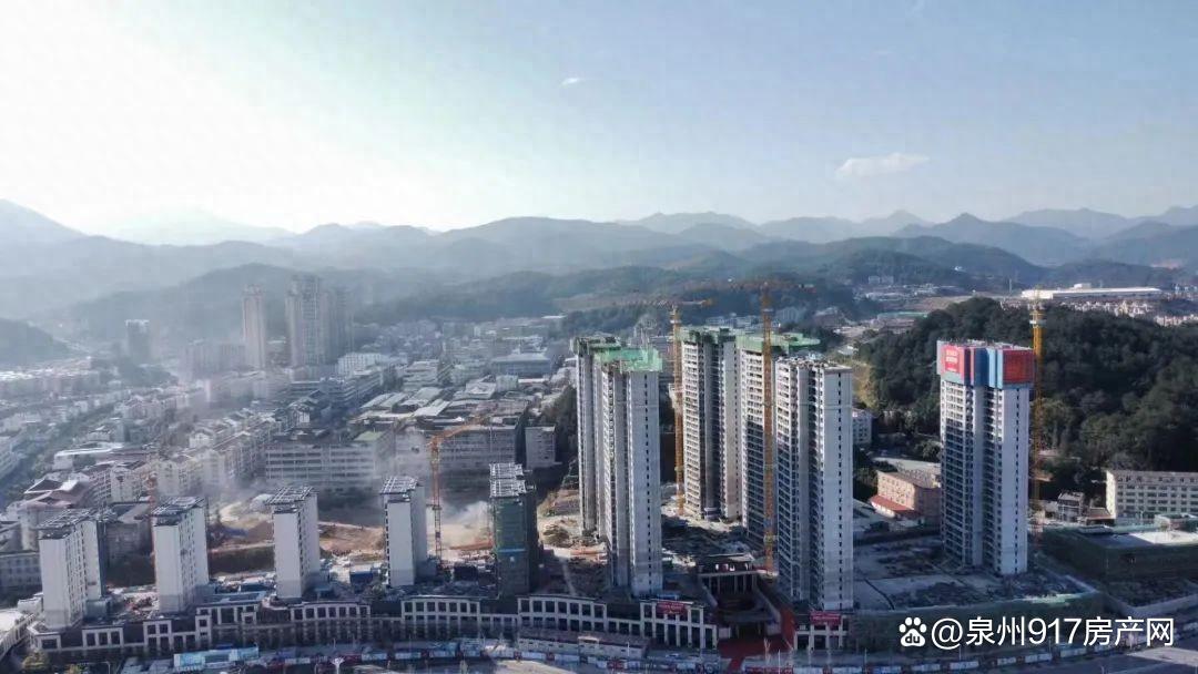 2025年1月7日泉州普厚板价格行情最新价格查询