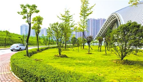 碳路者说|中国节能协会副秘书长张军涛:零碳园区引领绿色转型 构建双碳实践新图景