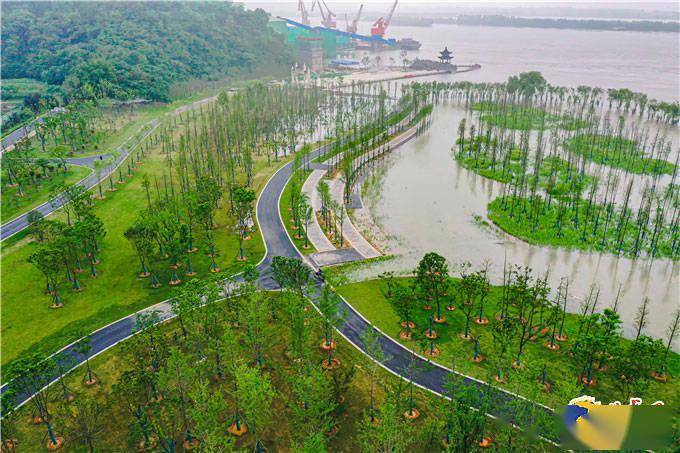 责任北控 | 践行长江大保护 书写绿色发展新篇章