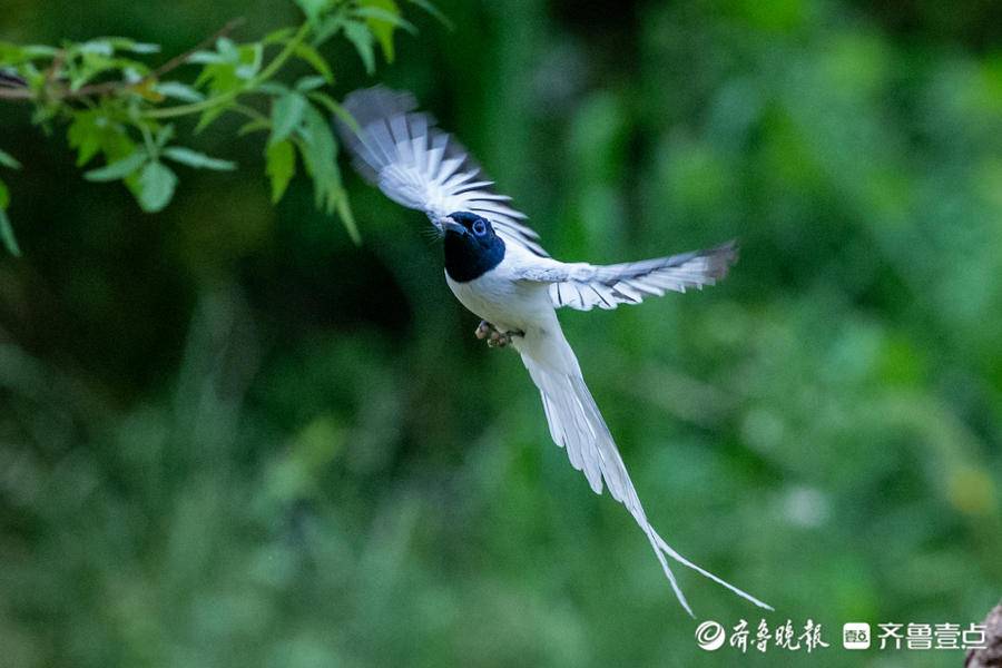 立方风控鸟·晚报（5月20日）